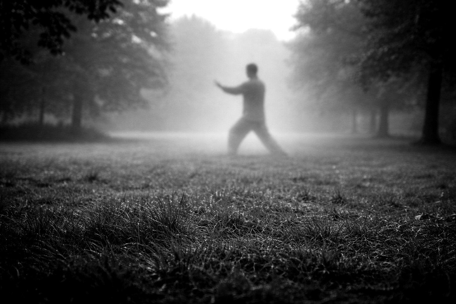 Perfect Tai Chi in the Park